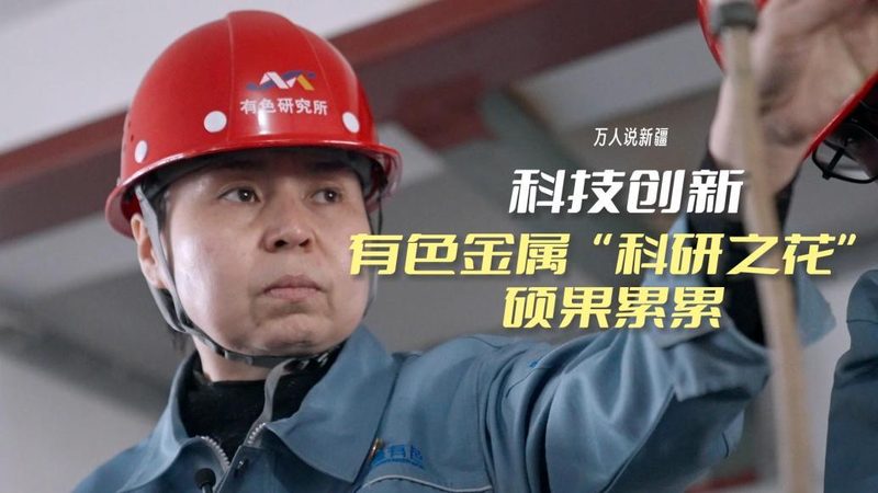 信息化建设项目管理流程书：构建高效IT项目的关键步骤